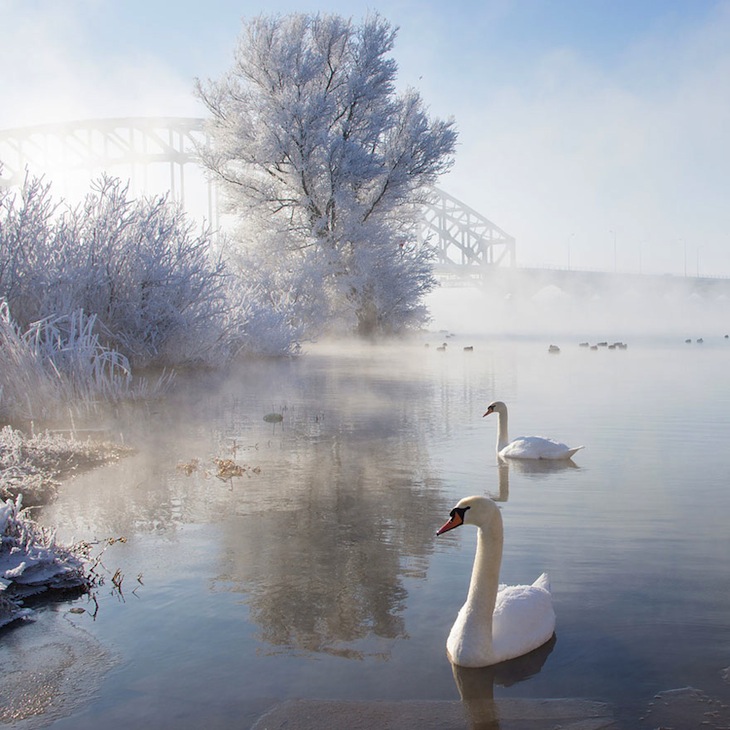 20 Великолепных зимних пейзажей