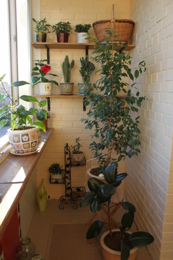 Index of /images/master/decor/391