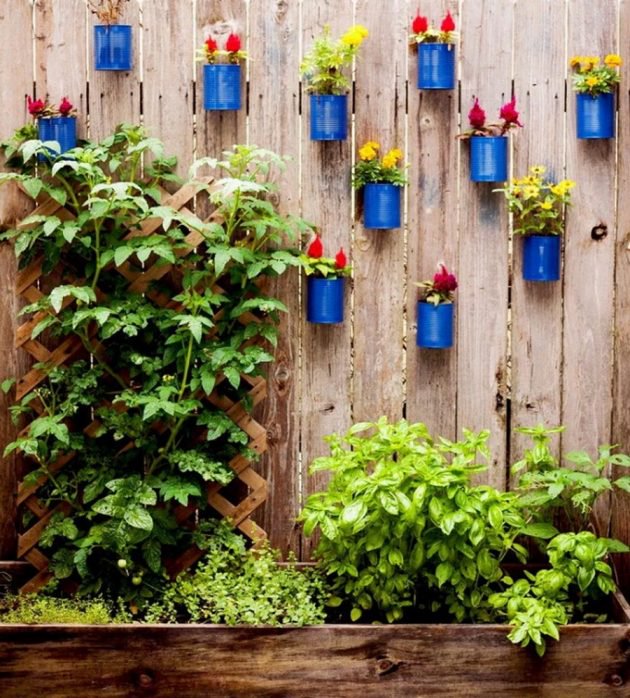 20 Примеров для украшения забора в саду