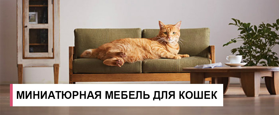 Современная коллекция мебели для кошек от японского мастера