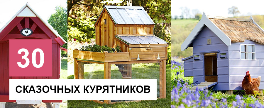 30 сказочных курятников, которые не могут оставить равнодушными любителей пернатых