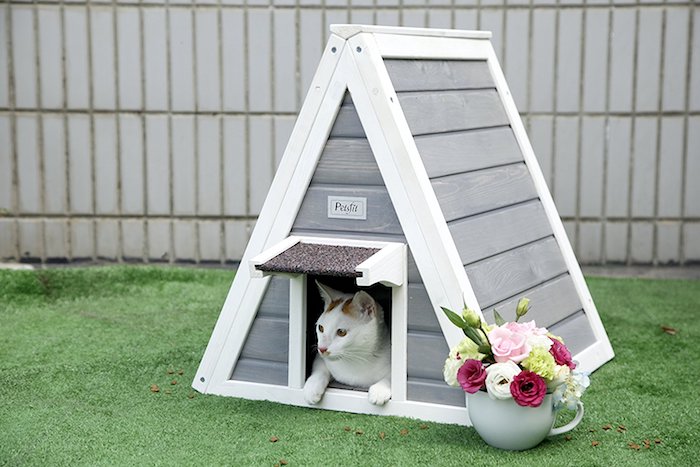 Уличные домики для кошек