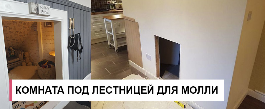 Он построил комнату под лестницей для собаки Молли, которой позавидует сам Гарри Поттер