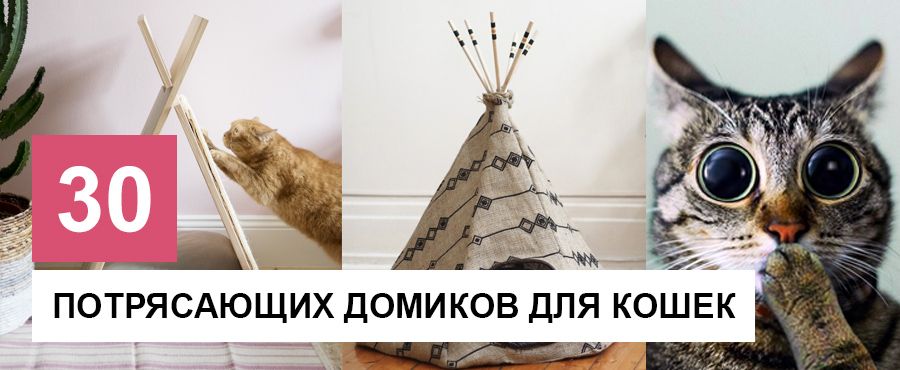 30 Домиков для кошек, которые можно сделать самостоятельно