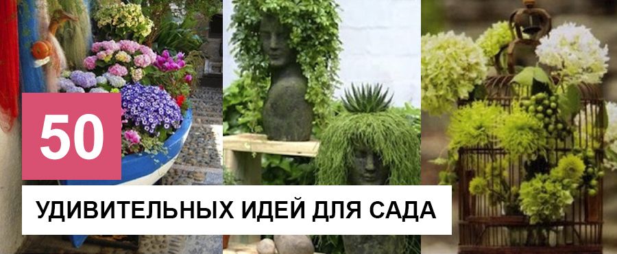 50 Удивительных идей для сада и дачи