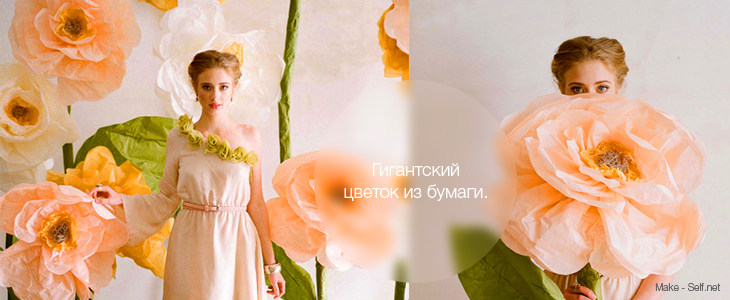 Гигантский цветок из бумаги Гигантский цветок из бумаги