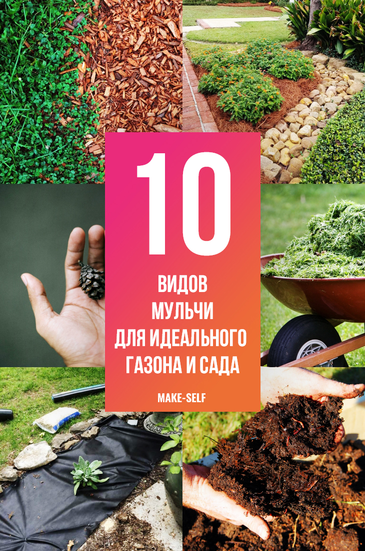 10 видов мульчи для идеального сада