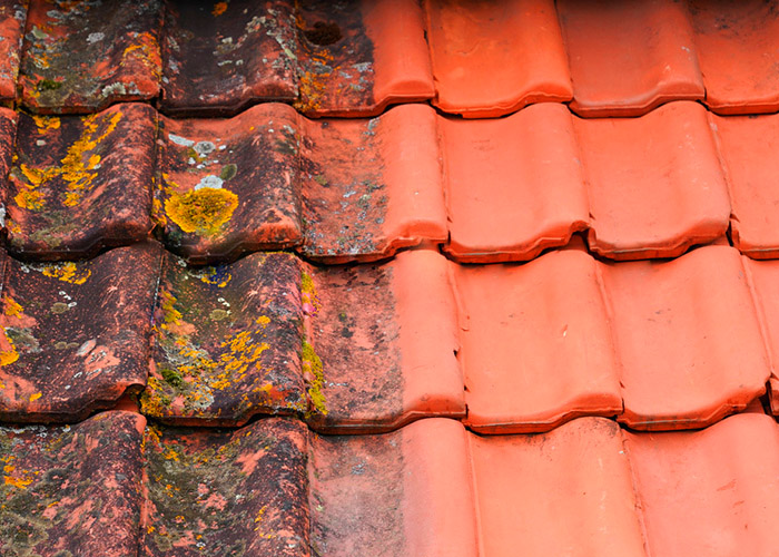 Як позбутися моху на даху і запобігти його появі?