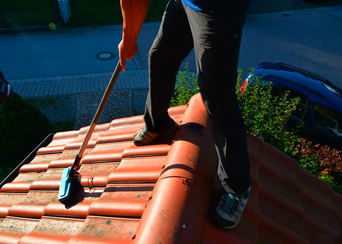 Как избавиться от мха на крыше и предотвратить его появление?