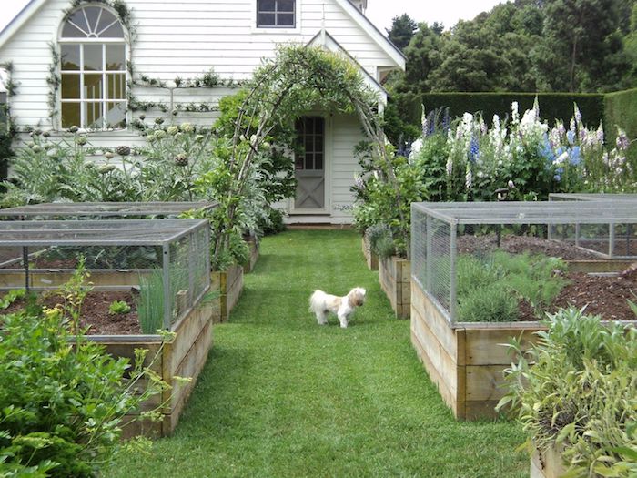 10 Простых шагов, чтобы создать плодородный огород