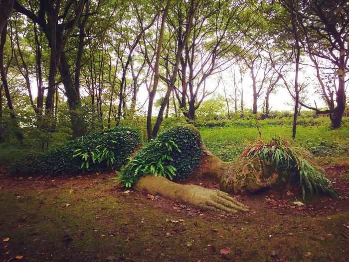 Живая скульптура в затерянных садах Хелигана меняет свой внешний вид в зависимости от сезона