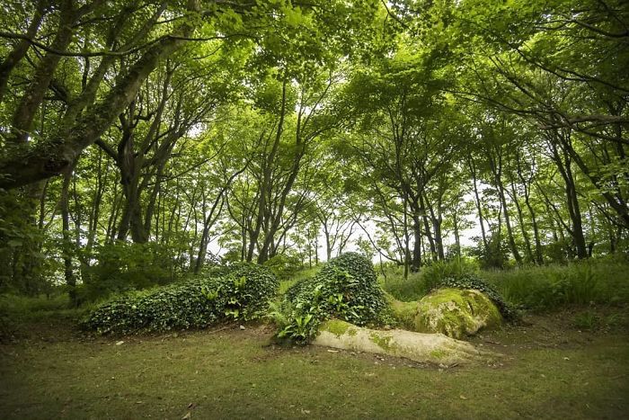 Живая скульптура в затерянных садах Хелигана меняет свой внешний вид в зависимости от сезона
