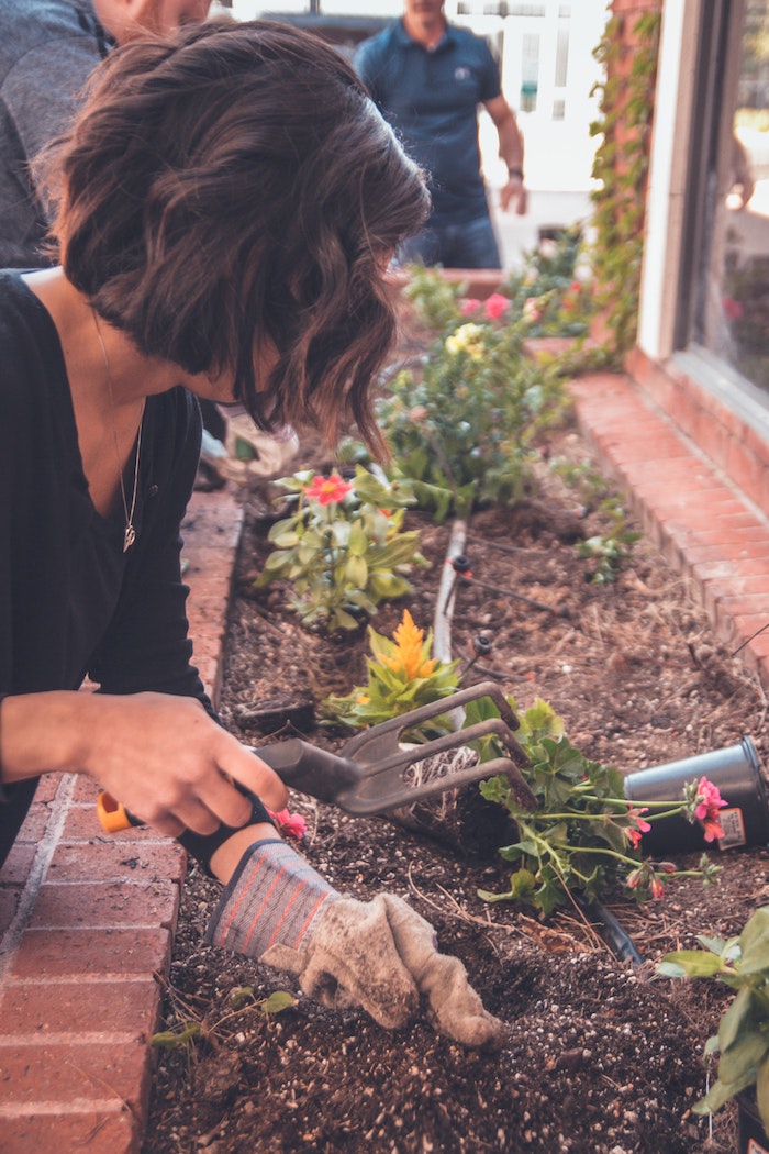 8 Способов помочь вашему саду пережить аномальную жару