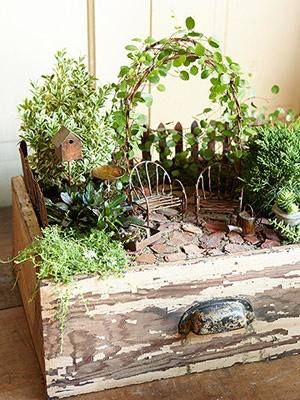 Практические идеи миниатюрных садов. ТОП 35