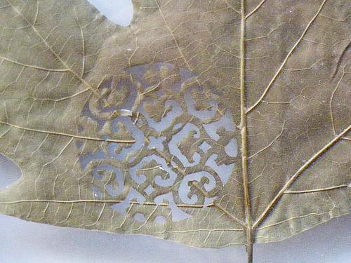 Papercut на листьях
