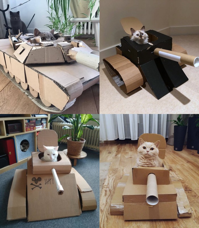 Как сделать для кошки 👨 простой домик из картонной коробки своими руками