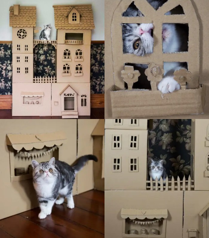 Домик для кошки своими руками из картонной коробки: пошаговая инструкция