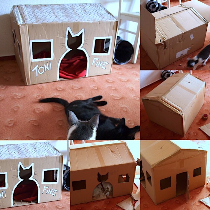 Как сделать домик для кота