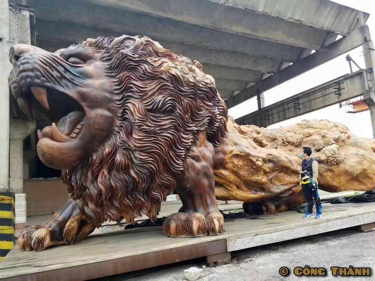 Гігантський лев, вирізаний із єдиного стовбура дерева