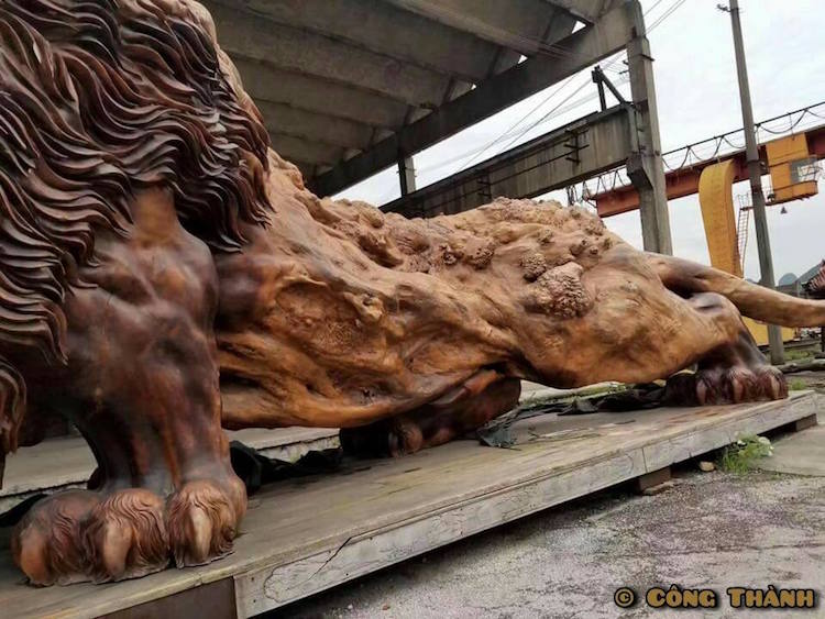 Гігантський лев, вирізаний із єдиного стовбура дерева