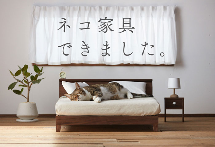 Современаая коллекция мебели для кошек от японского мастера