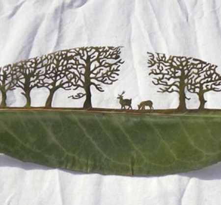 Papercut на листьях