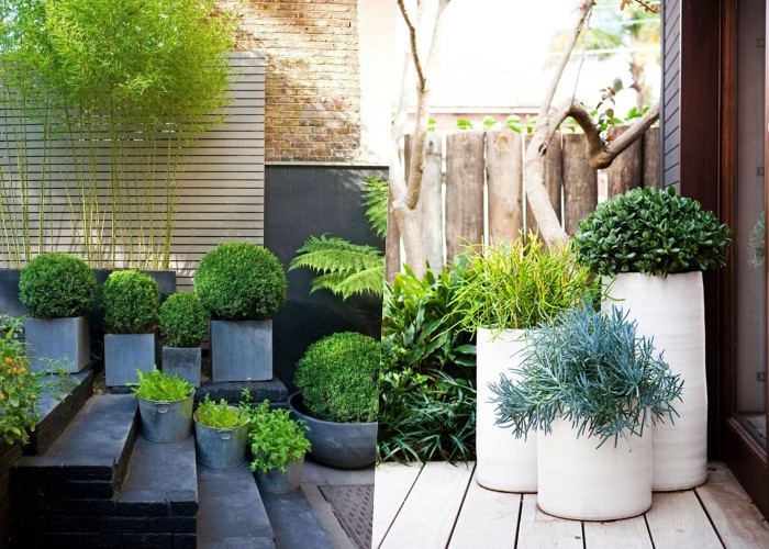 30 Современных вазонов, которые способны преобразить ваш сад